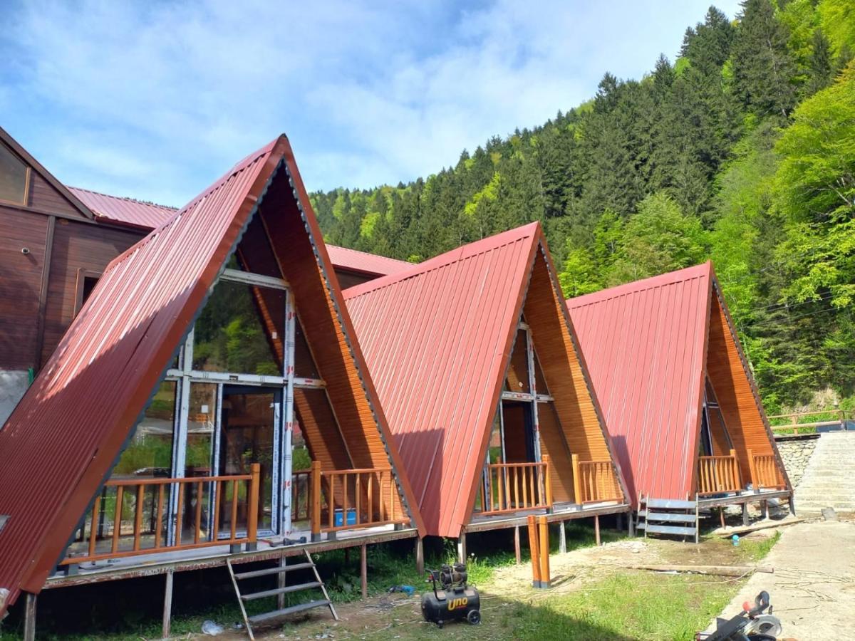Ay Home Apart&Bungalov Uzungöl Exteriör bild
